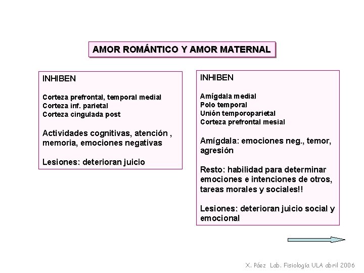 AMOR ROMÁNTICO Y AMOR MATERNAL INHIBEN Corteza prefrontal, temporal medial Corteza inf. parietal Corteza