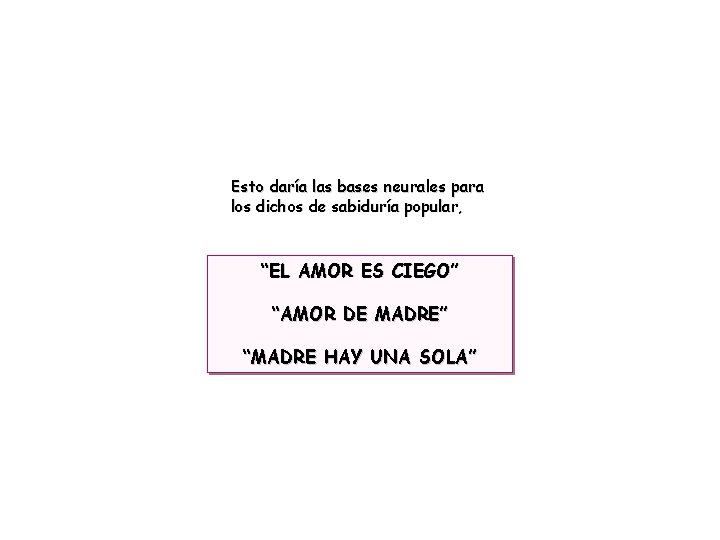 Esto daría las bases neurales para los dichos de sabiduría popular, “EL AMOR ES