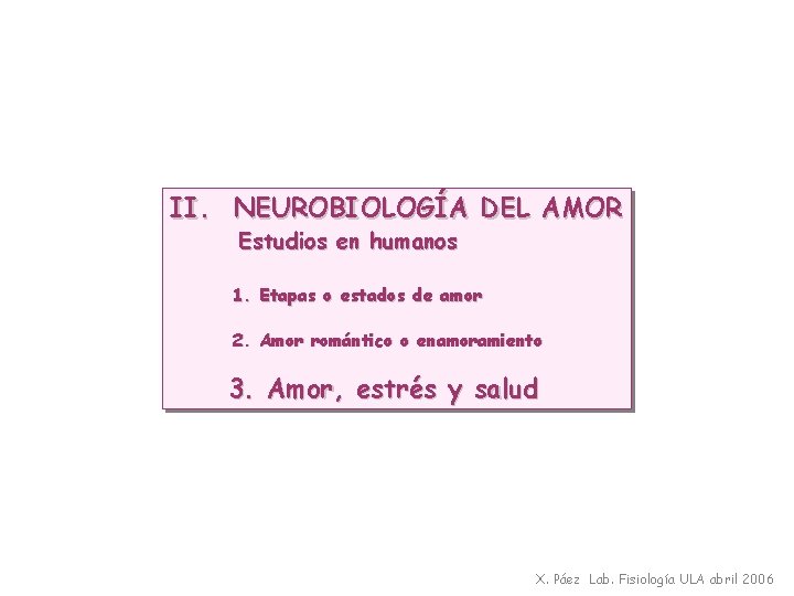 II. NEUROBIOLOGÍA DEL AMOR Estudios en humanos 1. Etapas o estados de amor 2.