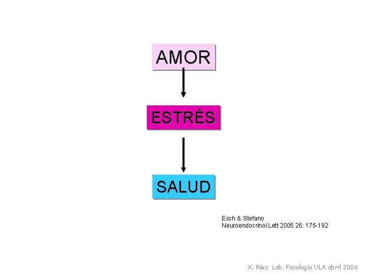 AMOR ESTRÉS SALUD Esch & Stefano Neuroendocrinol Lett 2005 26: 175 -192 X. Páez