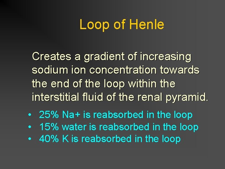 Loop of Henle Creates a gradient of increasing sodium ion concentration towards the end