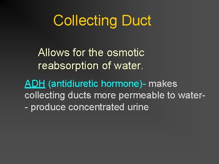 Collecting Duct Allows for the osmotic reabsorption of water. ADH (antidiuretic hormone)- makes collecting