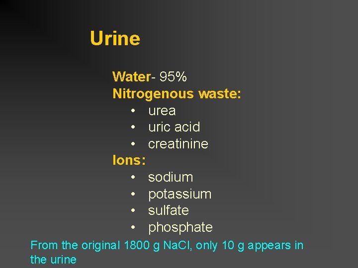 Urine Water- 95% Nitrogenous waste: • urea • uric acid • creatinine Ions: •
