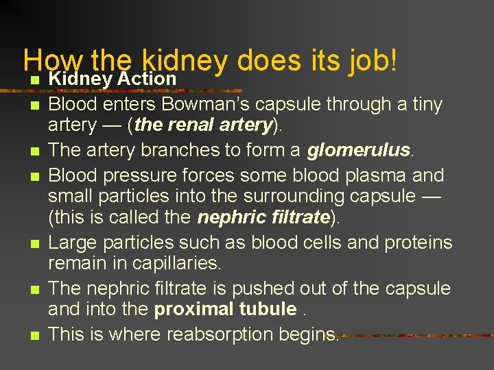 How the kidney does its job! n Kidney Action n n n Blood enters