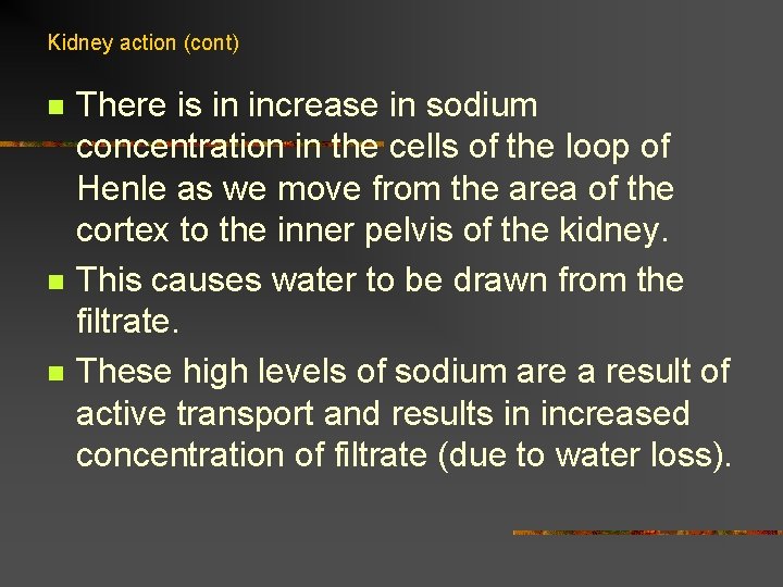 Kidney action (cont) n n n There is in increase in sodium concentration in