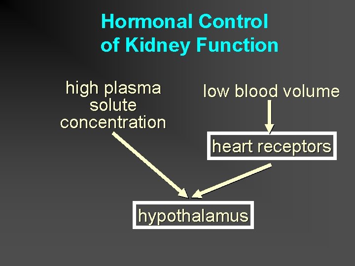 Hormonal Control of Kidney Function high plasma solute concentration low blood volume heart receptors