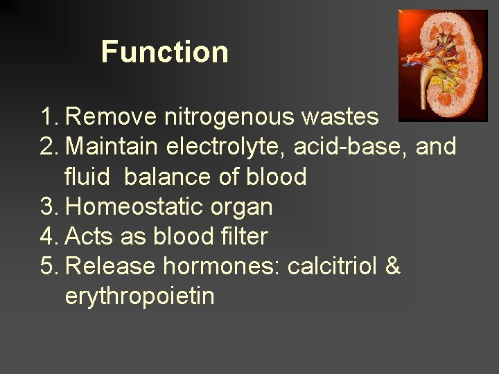 Function 1. Remove nitrogenous wastes 2. Maintain electrolyte, acid-base, and fluid balance of blood