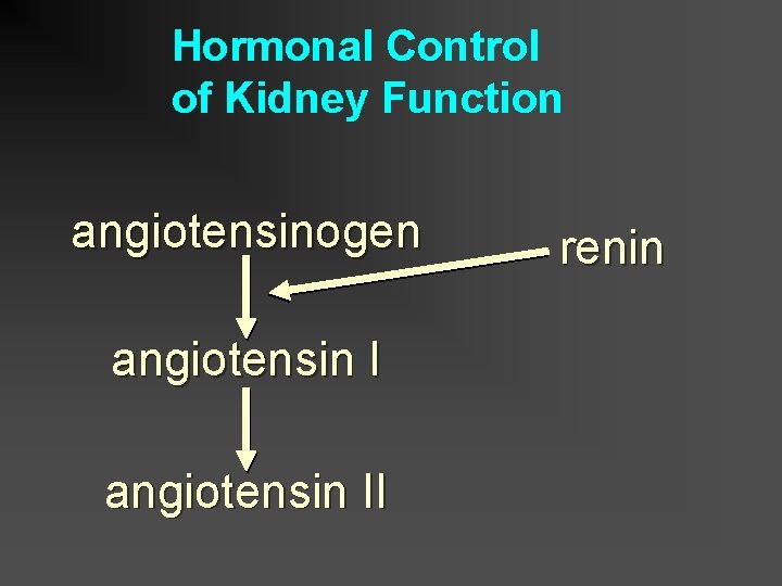 Hormonal Control of Kidney Function angiotensinogen angiotensin II renin 