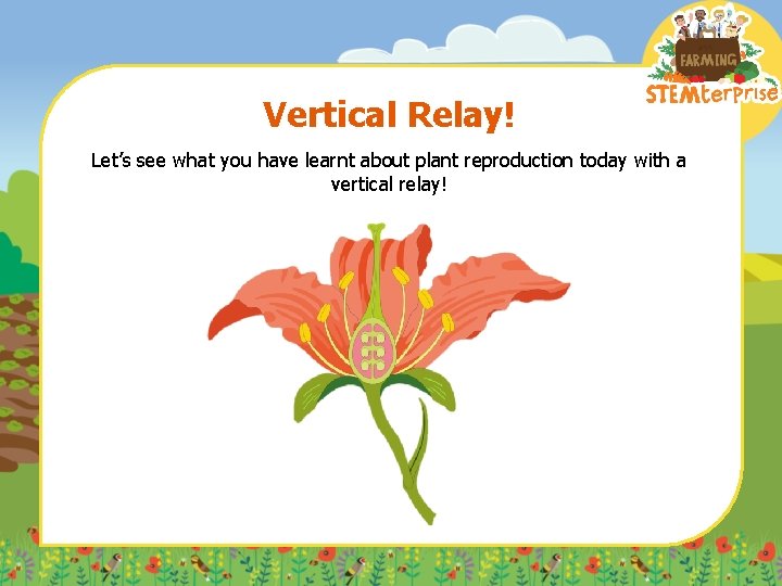 Vertical Relay! Let’s see what you have learnt about plant reproduction today with a