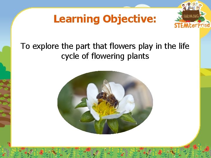 Learning Objective: To explore the part that flowers play in the life cycle of