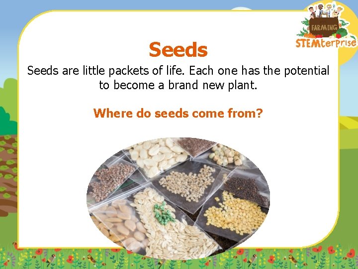 Seeds are little packets of life. Each one has the potential to become a