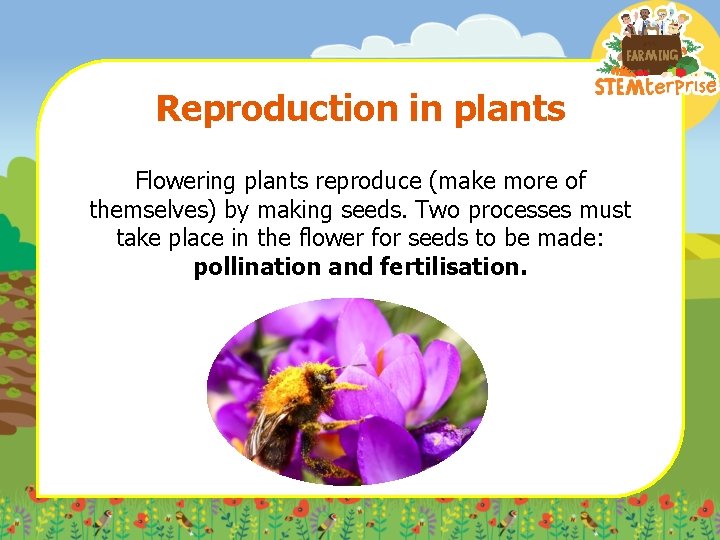 Reproduction in plants Flowering plants reproduce (make more of themselves) by making seeds. Two