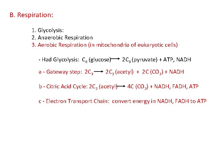 B. Respiration: 1. Glycolysis: 2. Anaerobic Respiration 3. Aerobic Respiration (in mitochondria of eukaryotic