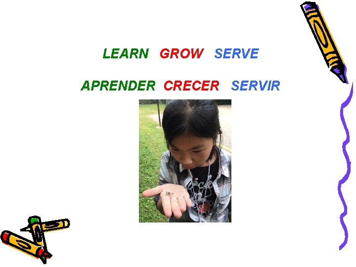 LEARN GROW SERVE APRENDER CRECER SERVIR 