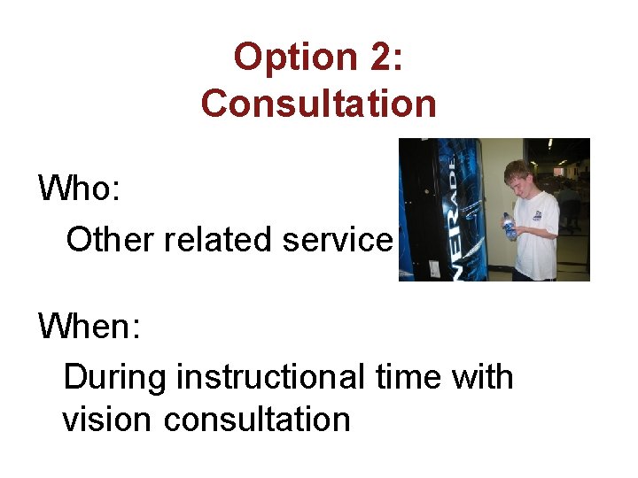Option 2: Consultation Who: Other related service When: During instructional time with vision consultation