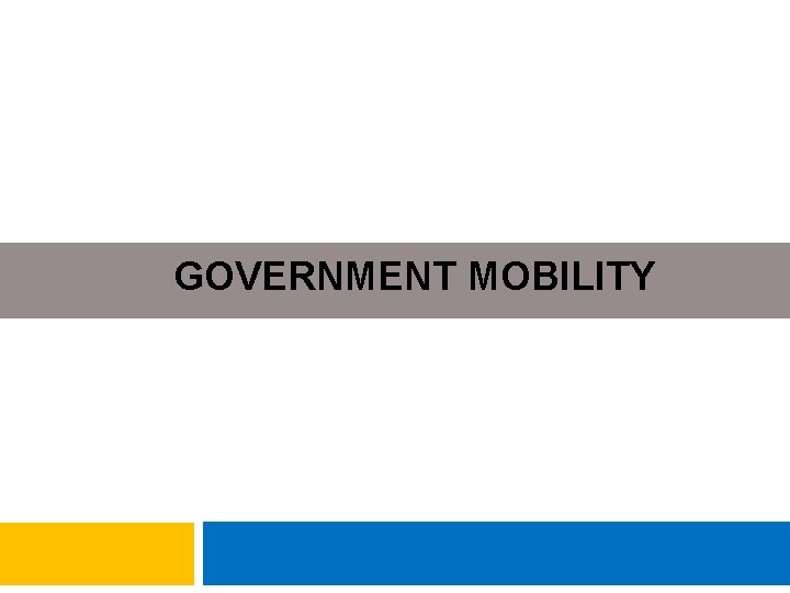 GOVERNMENT MOBILITY 