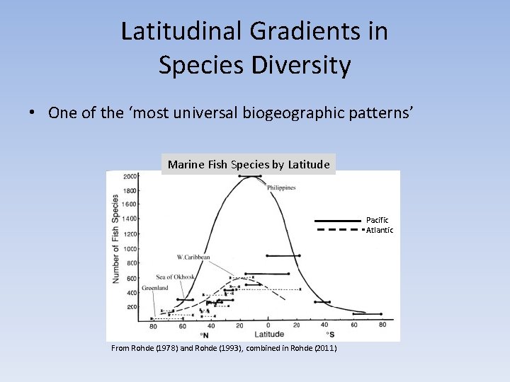 Latitudinal Gradients in Species Diversity • One of the ‘most universal biogeographic patterns’ Marine