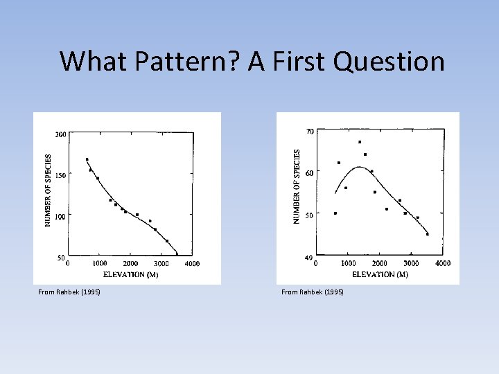 What Pattern? A First Question From Rahbek (1995) 