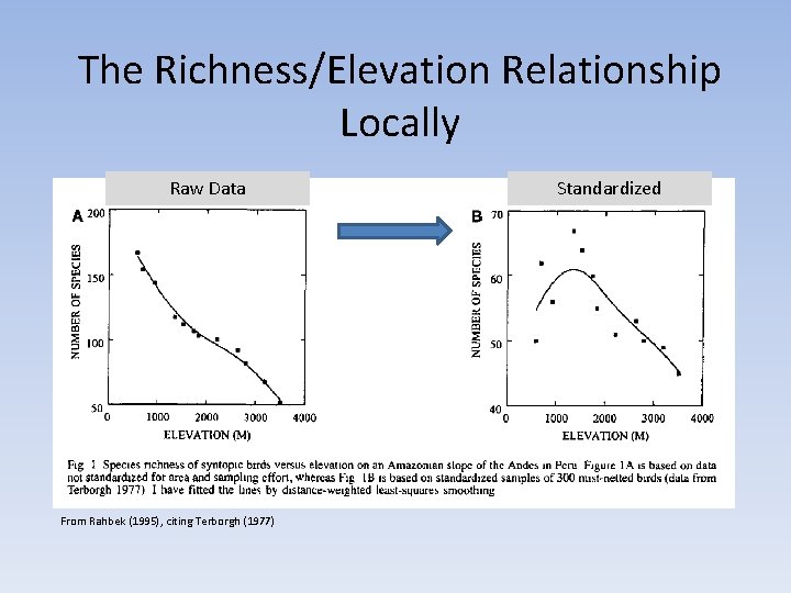 The Richness/Elevation Relationship Locally Raw Data From Rahbek (1995), citing Terborgh (1977) Standardized 