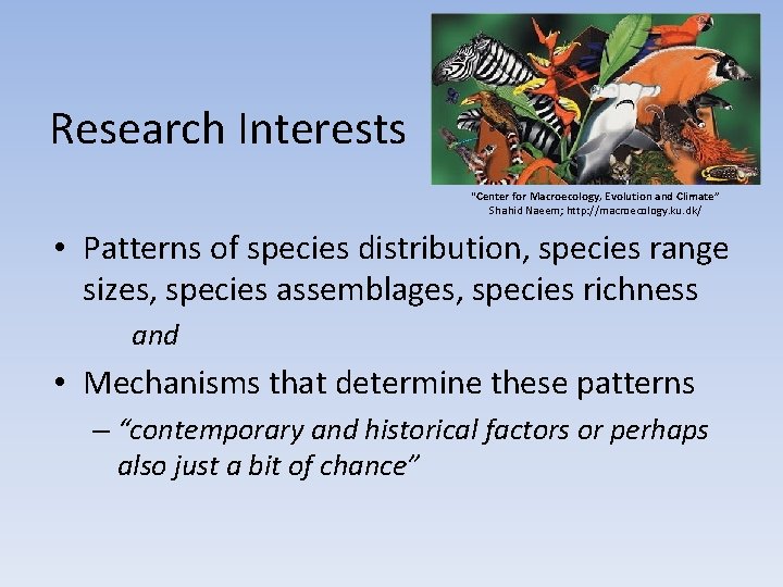 Research Interests “Center for Macroecology, Evolution and Climate” Shahid Naeem; http: //macroecology. ku. dk/