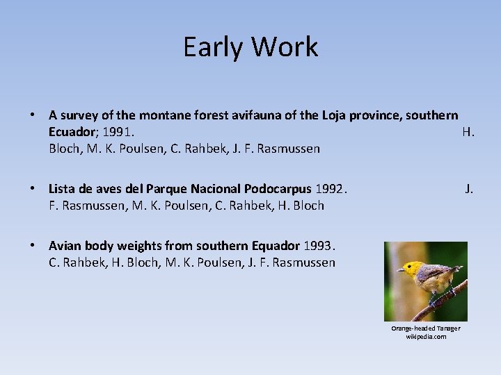 Early Work • A survey of the montane forest avifauna of the Loja province,
