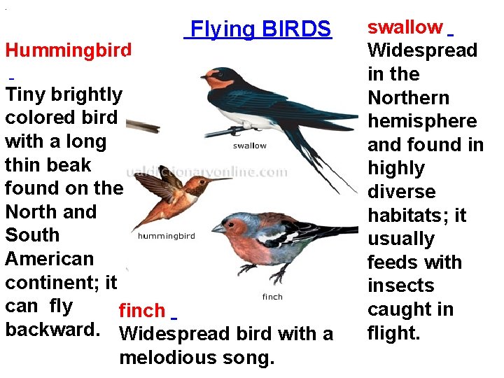 . Hummingbird Flying BIRDS Tiny brightly colored bird with a long thin beak found