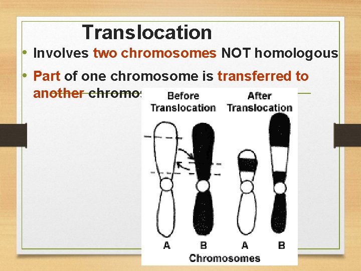 Translocation • Involves two chromosomes NOT homologous • Part of one chromosome is transferred