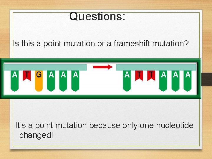 Questions: Is this a point mutation or a frameshift mutation? -It’s a point mutation