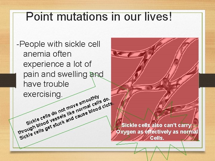 Point mutations in our lives! -People with sickle cell anemia often experience a lot