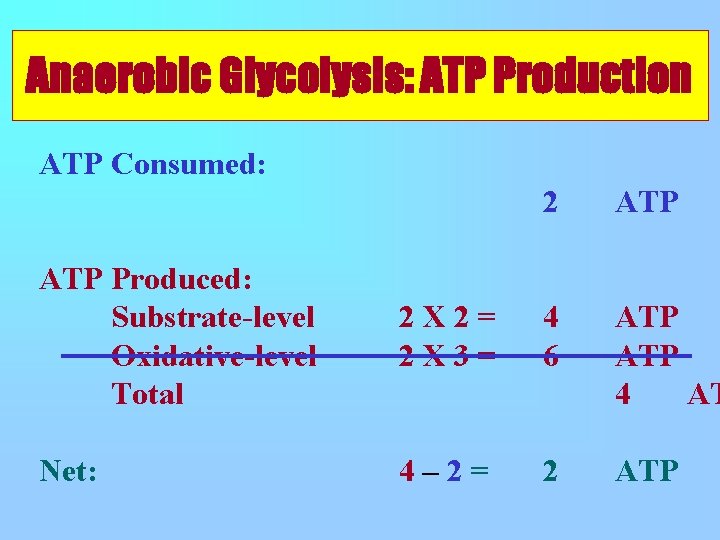 Anaerobic Glycolysis: ATP Production ATP Consumed: 2 ATP Produced: Substrate-level Oxidative-level Total 2 X