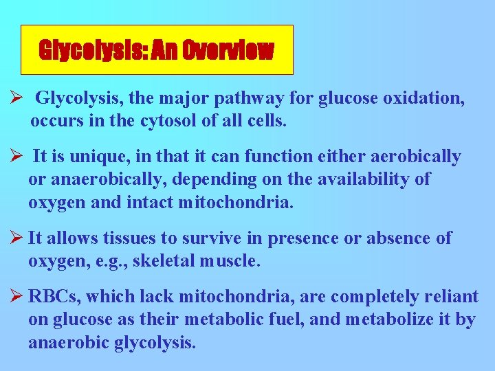 Glycolysis: An Overview Ø Glycolysis, the major pathway for glucose oxidation, occurs in the