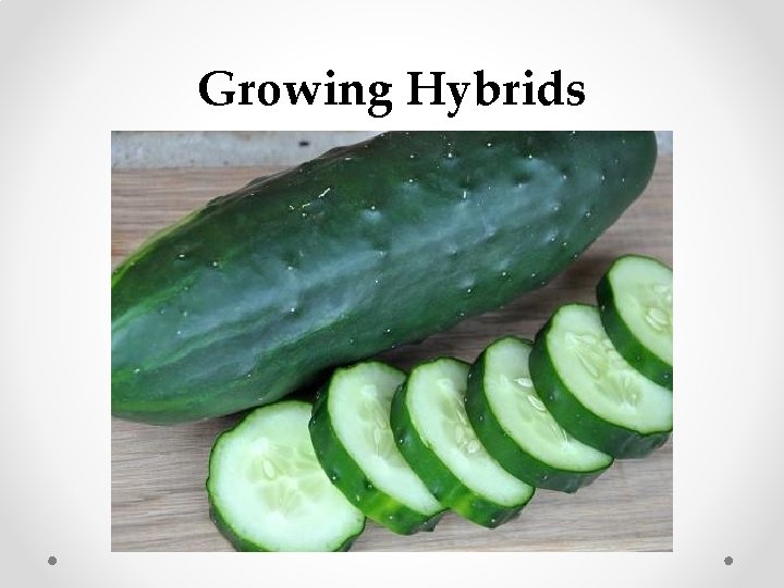 Growing Hybrids 