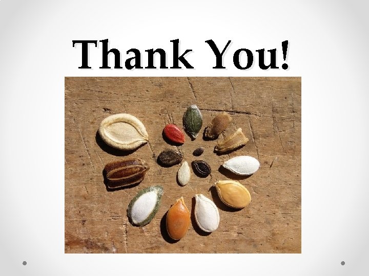Thank You! 