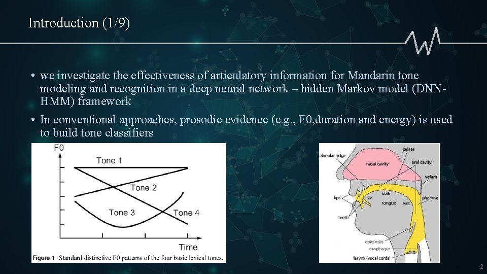 Introduction (1/9) • we investigate the effectiveness of articulatory information for Mandarin tone modeling