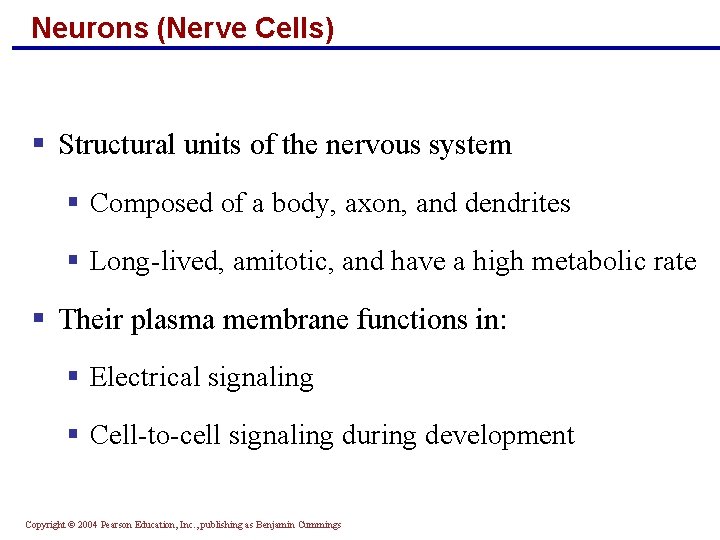 Neurons (Nerve Cells) § Structural units of the nervous system § Composed of a