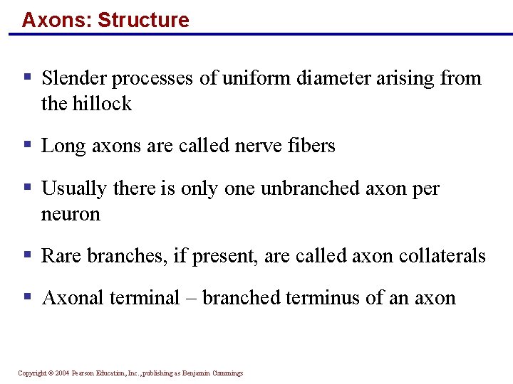 Axons: Structure § Slender processes of uniform diameter arising from the hillock § Long