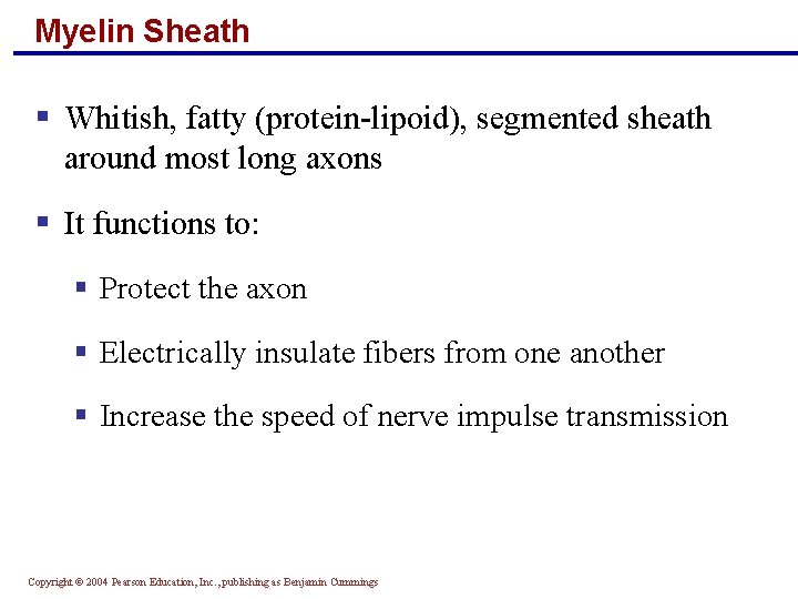 Myelin Sheath § Whitish, fatty (protein-lipoid), segmented sheath around most long axons § It