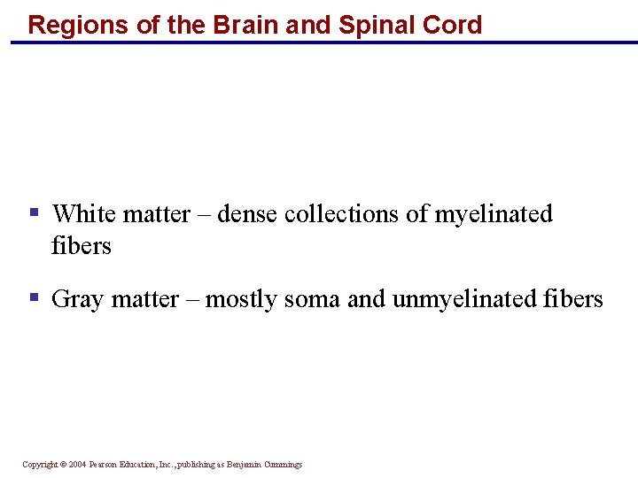 Regions of the Brain and Spinal Cord § White matter – dense collections of