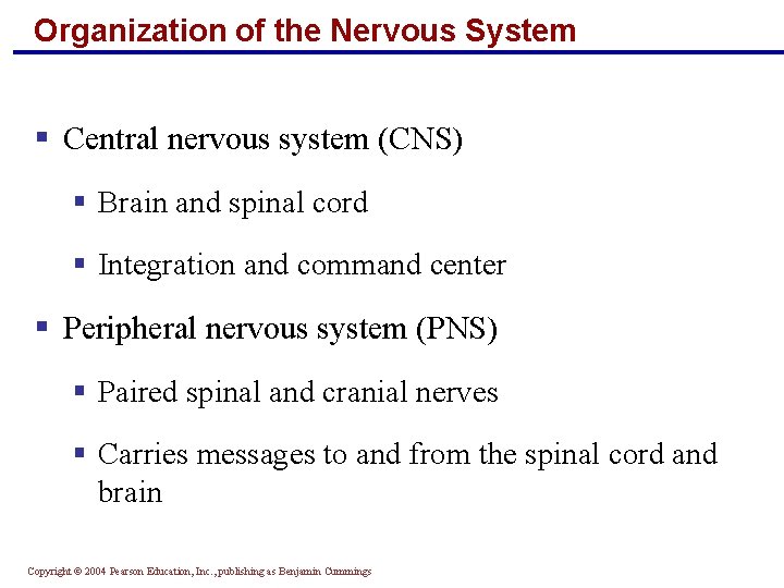 Organization of the Nervous System § Central nervous system (CNS) § Brain and spinal