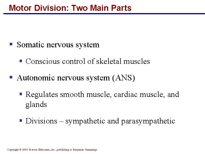 Motor Division: Two Main Parts § Somatic nervous system § Conscious control of skeletal