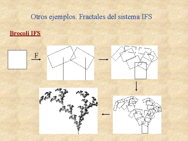 Otros ejemplos. Fractales del sistema IFS Brocoli IFS F 