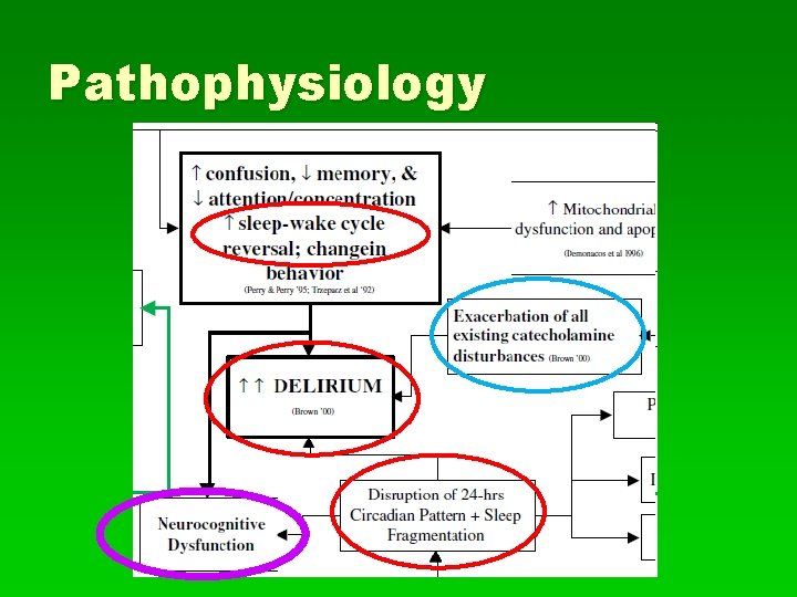 Pathophysiology 