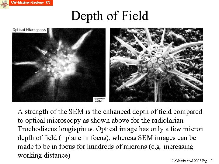 Depth of Field A strength of the SEM is the enhanced depth of field
