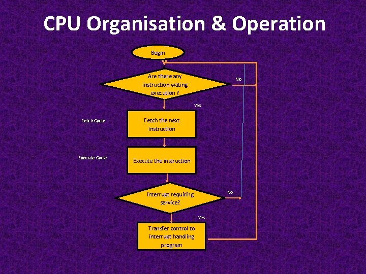 CPU Organisation & Operation Begin Are there any instruction wating execution ? No Yes CPU Organisation & Operation Begin Are there any instruction wating execution ? No Yes