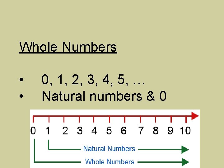 Whole Numbers • • 0, 1, 2, 3, 4, 5, … Natural numbers &