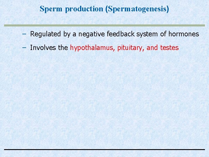 Sperm production (Spermatogenesis) – Regulated by a negative feedback system of hormones – Involves