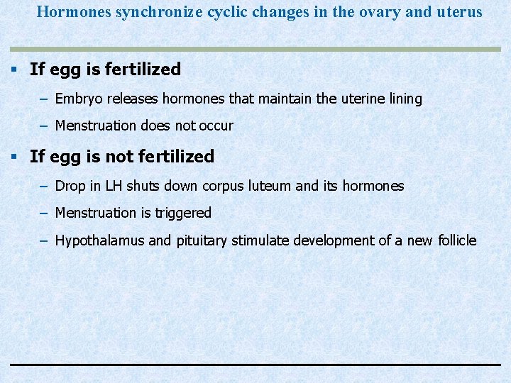 Hormones synchronize cyclic changes in the ovary and uterus § If egg is fertilized
