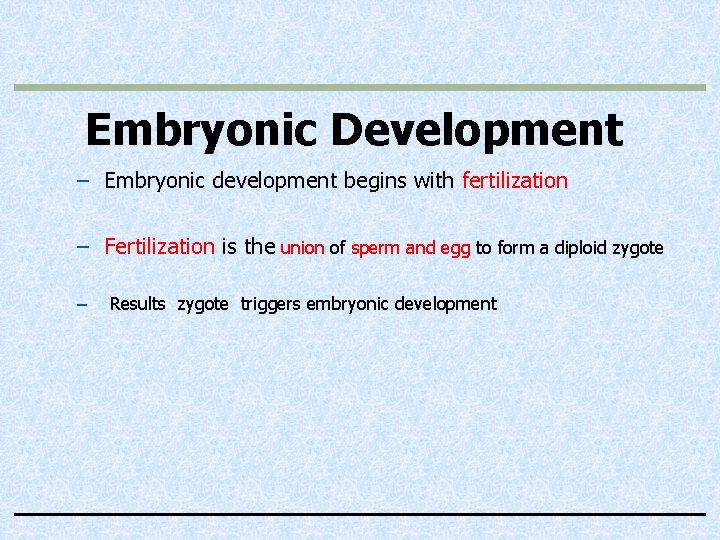 Embryonic Development – Embryonic development begins with fertilization – Fertilization is the union of