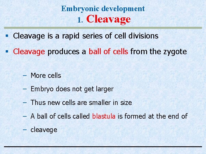 Embryonic development 1. Cleavage § Cleavage is a rapid series of cell divisions §
