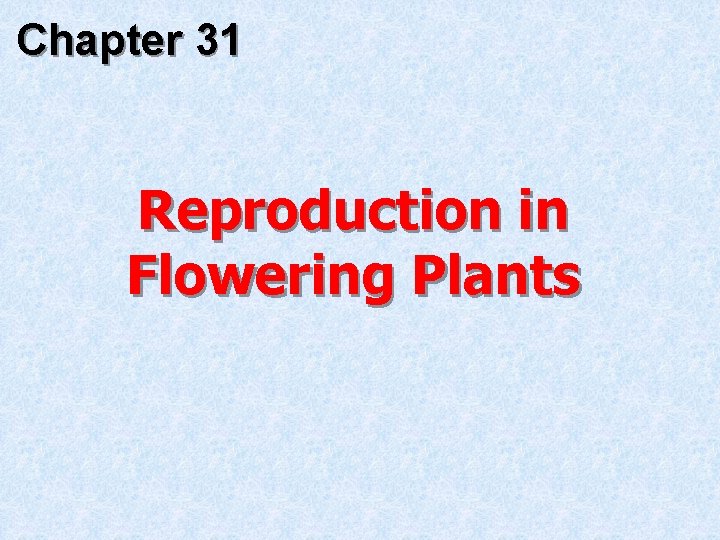 Chapter 31 Reproduction in Flowering Plants 